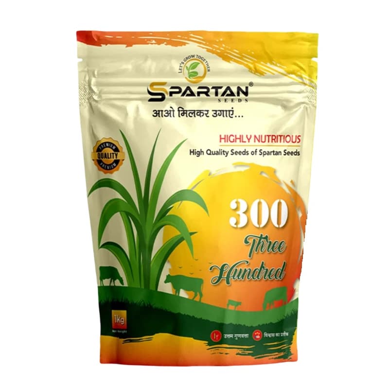 Spartan 300 F1 Hybrid Sorghum Seeds, Jowar Seeds, High Purity, Ideal For Kharif, Rabi, and Summer Season