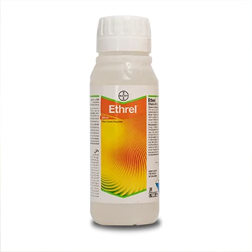 Bayer Ethrel Ethephon 39% SL, Plant Growth Regulator, Which Improves Colouration And Accelerates Uniform Ripening Of Fruits