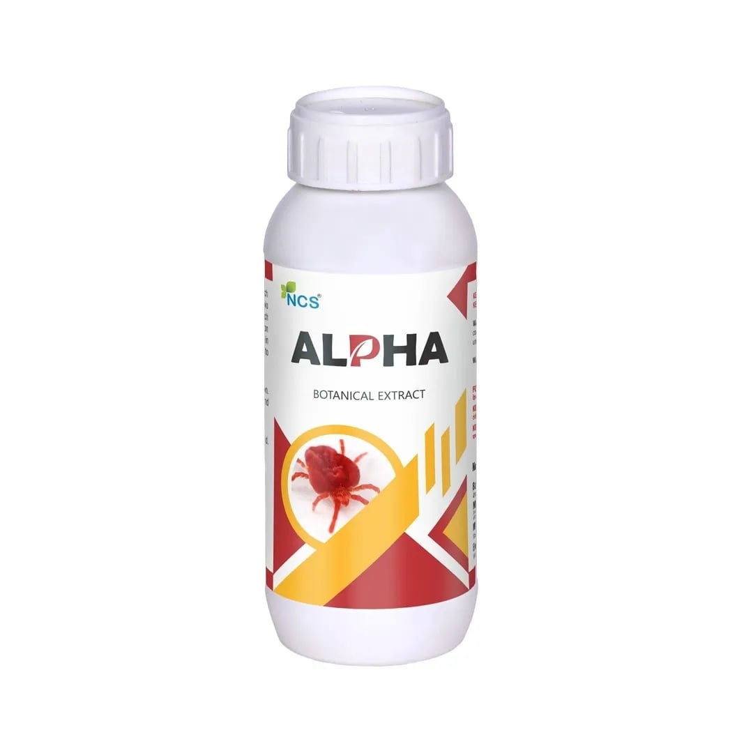 Chilli Virus Special For Pre-Treatment (Set of Alpha 250 ML + Nio Star 100 ML + Hubel 900 GM) Best Effect On Chilli Virus