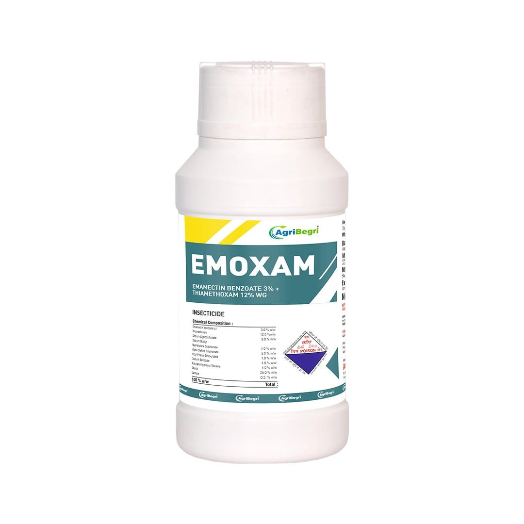 Emoxam - Emamectin Benzoate 3% + Thiamethoxam 12% WDG, Powder Insecticide for Plants.