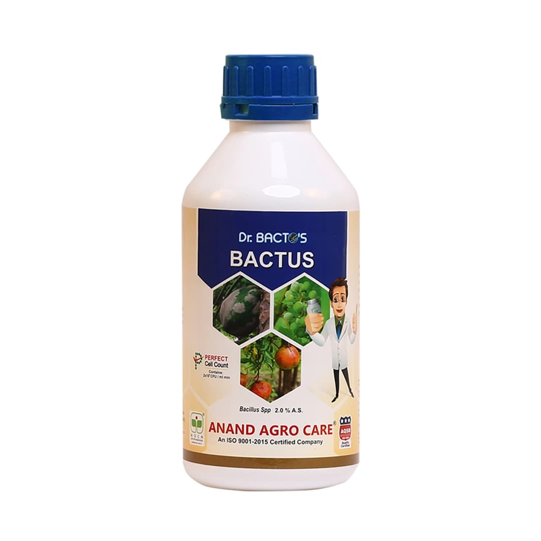 Dr. Bacto's Bactus (Bacillus subtilis) Control Anti Bacterial Diseases, It is An Eco-Friendly Biological Fungicide Based on Bacillus Subtilis