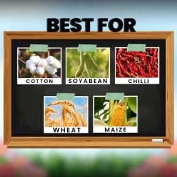 Katyayani Docter Thiamethoxam 30% FS Insecticide, For Systemic Seed Treatment 3