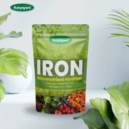 Katyayani Iron Micronutrient Fertilizer Ferrous Sulphate 19%, Best For All Crops 2