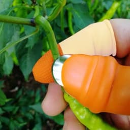Radhe Premium Silicone Thumb Cutter With Finger Protection, Plucking Device For Cutting Vegetable and Fruit Scraper (Pack of 5) 3